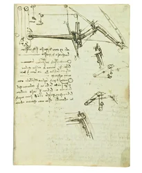 Códice sobre el vuelo de los pájaros, Folio 17 recto